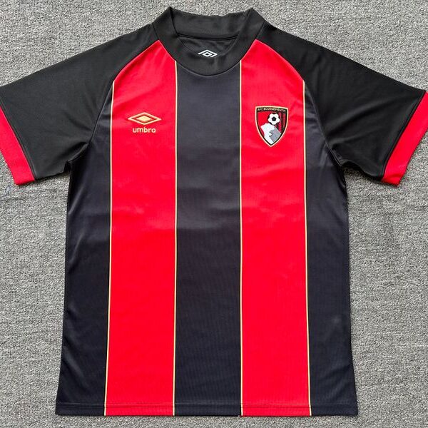 AFC Bournemouth 2024-2025 home game