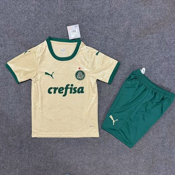 Kid Size Palmeiras 2024-2025 second away