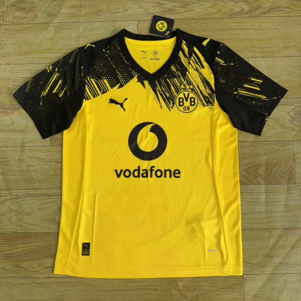 BVB Dortmund 2025-2026 home