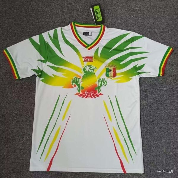 Mali national 2024 Africa Cup home game