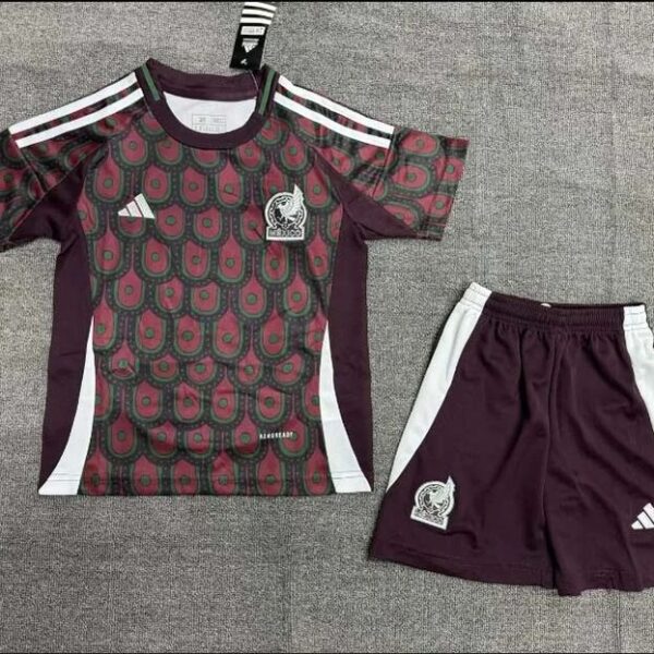 Kid Size Mexico national 2024 home game